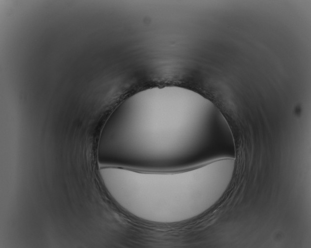 X0000090440416200707131034