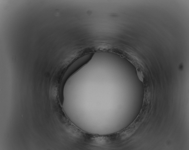 X0000090440417200707131034