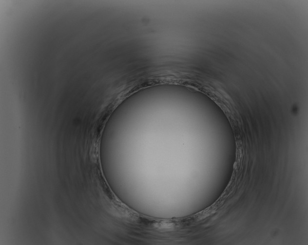 X0000090440419200707131034