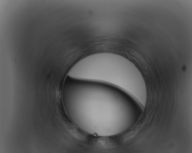 X0000090440420200707131034