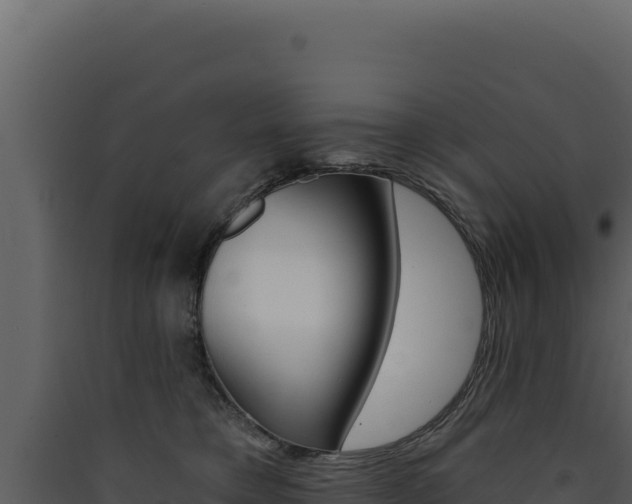 X0000090440421200707131034