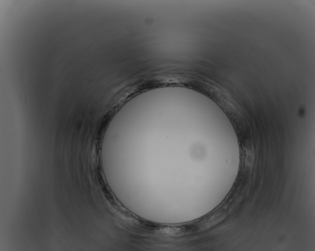 X0000090440422200707131034