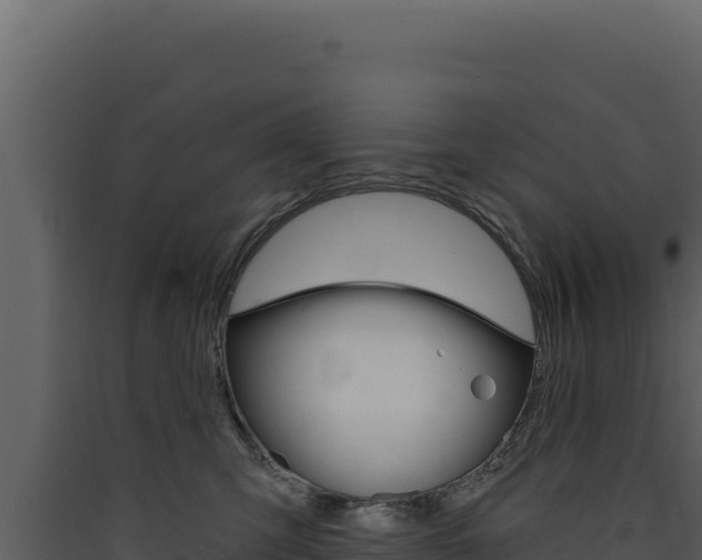 X0000090440423200707131034
