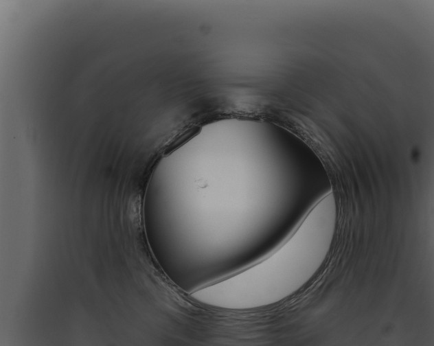 X0000090440425200707131034