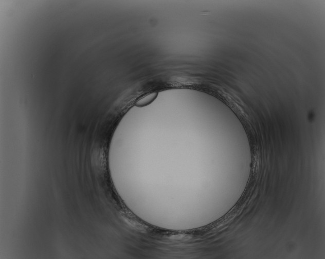 X0000090440426200707131034