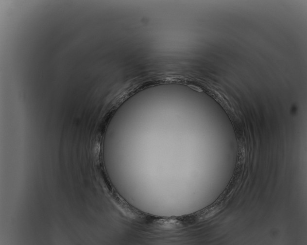 X0000090440427200707131034