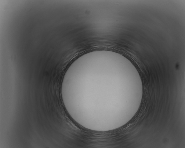 X0000090440428200707131034