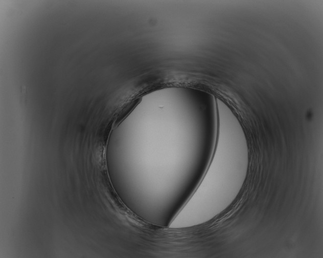 X0000090440429200707131034