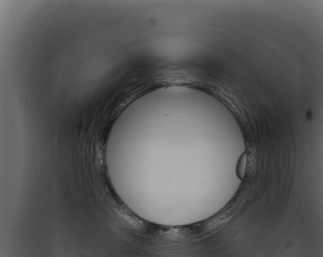 X0000090440430200707131034
