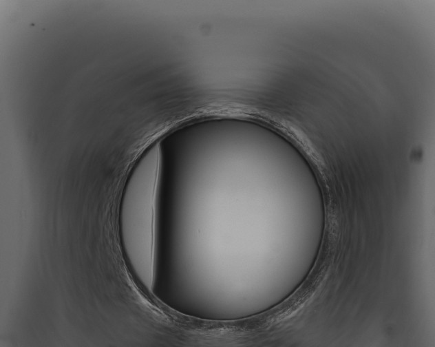 X0000090440433200707131033
