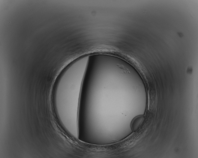 X0000090440435200707131033