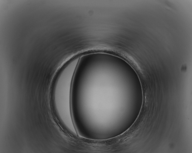 X0000090440436200707131033