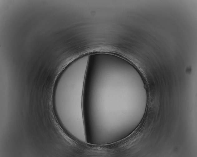 X0000090440437200707131033