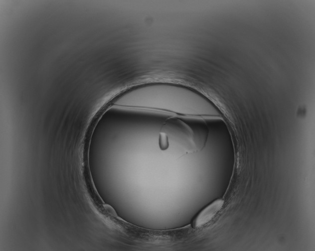 X0000090440438200707131033