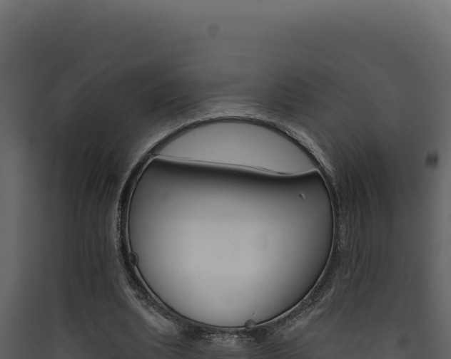 X0000090440439200707131033