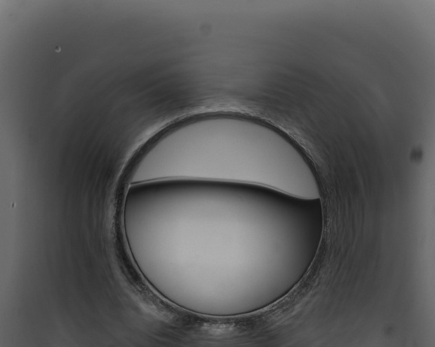 X0000090440440200707131033