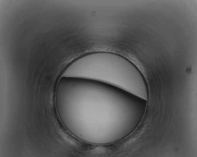 X0000090440441200707131033