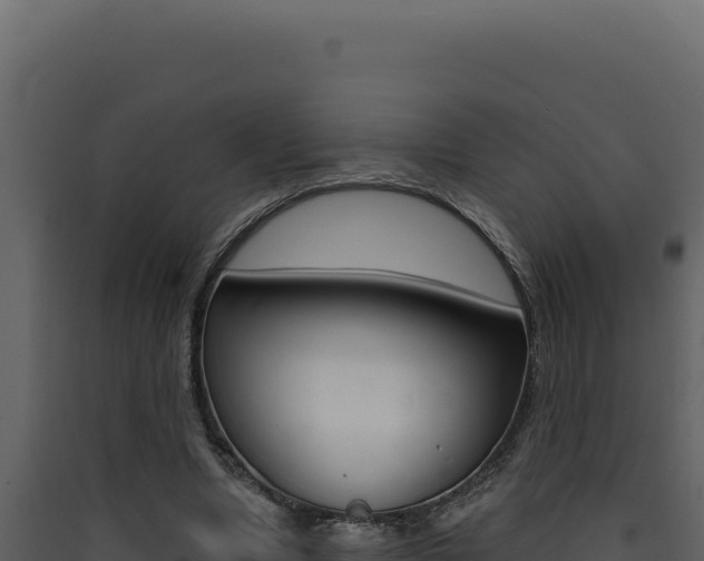 X0000090440442200707131033