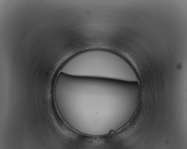 X0000090440443200707131033