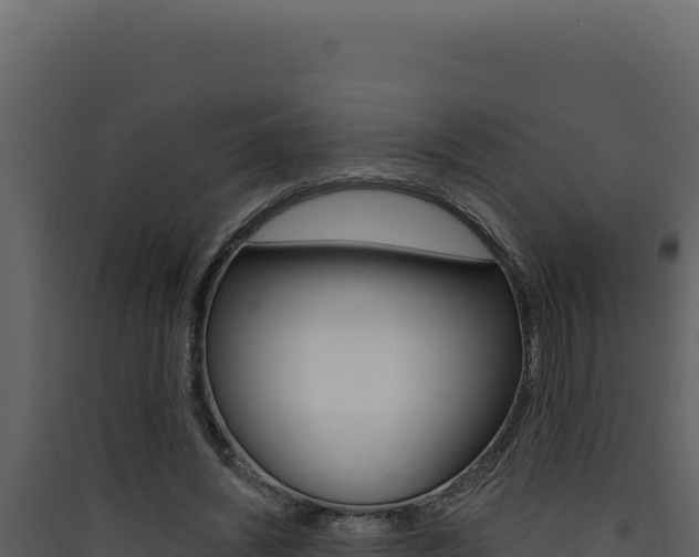X0000090440444200707131034