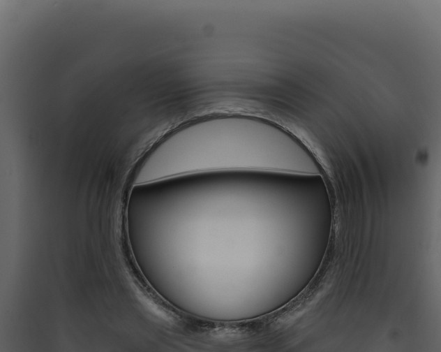 X0000090440445200707131034