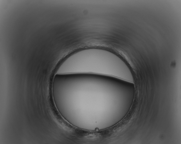 X0000090440447200707131034