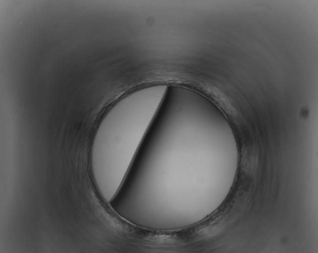 X0000090440449200707131034