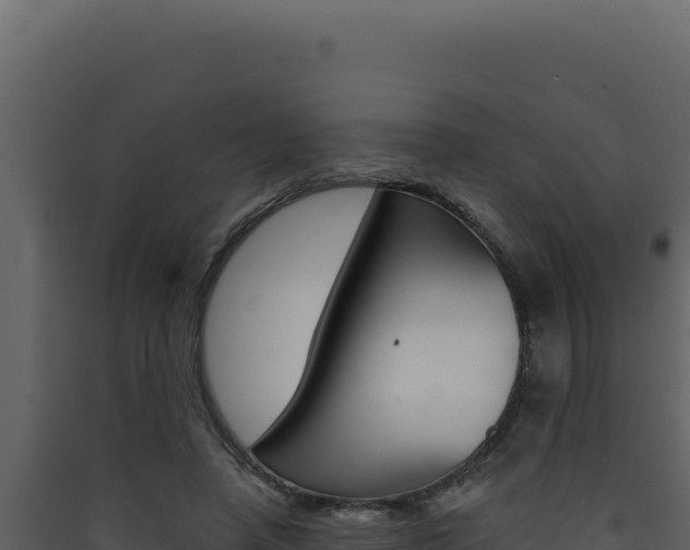 X0000090440450200707131034