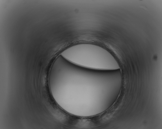 X0000090440451200707131034