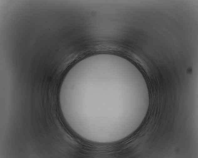 X0000090440452200707131034