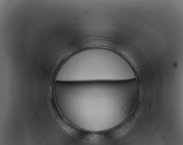 X0000090440453200707131034