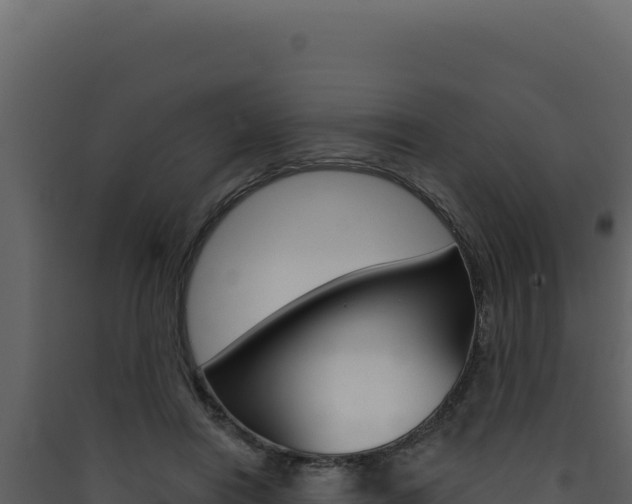 X0000090440454200707131034