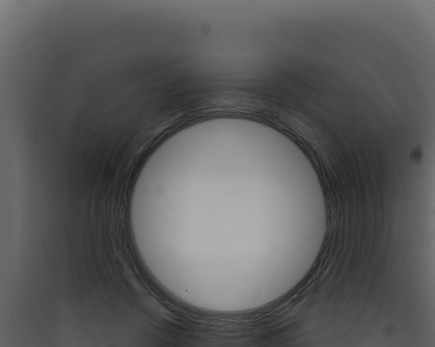 X0000090440456200707131034