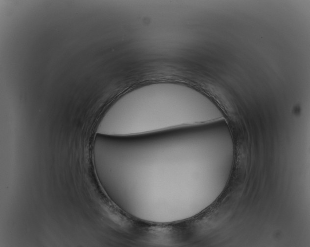 X0000090440457200707131034