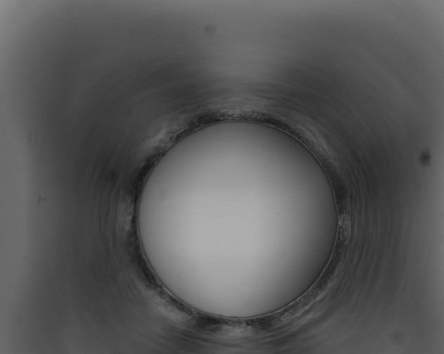 X0000090440458200707131034