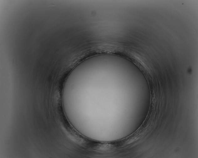 X0000090440459200707131034