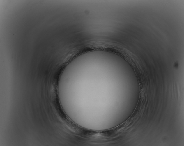 X0000090440460200707131034
