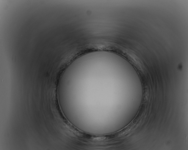 X0000090440461200707131034