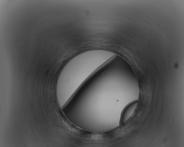 X0000090440462200707131034