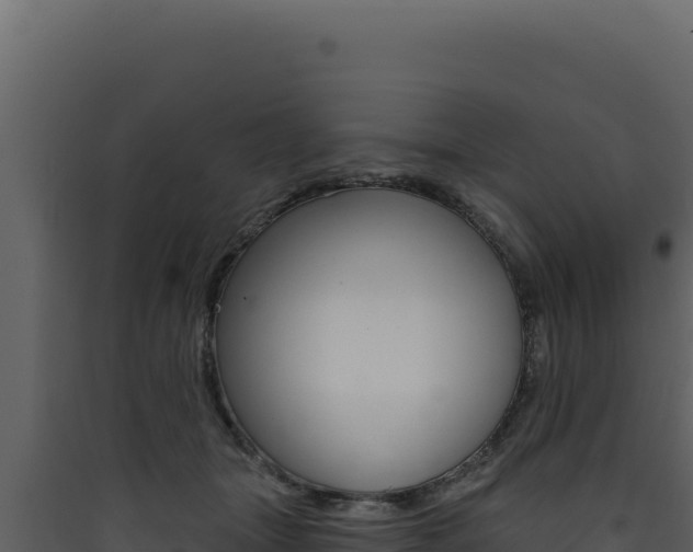 X0000090440463200707131034