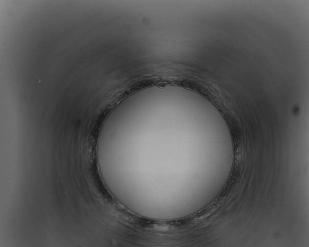 X0000090440464200707131034