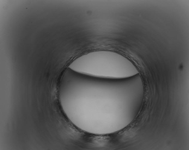 X0000090440465200707131034