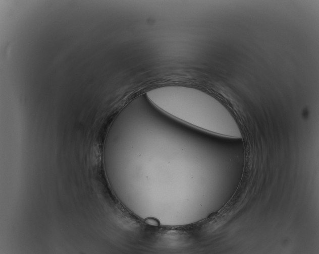 X0000090440467200707131034