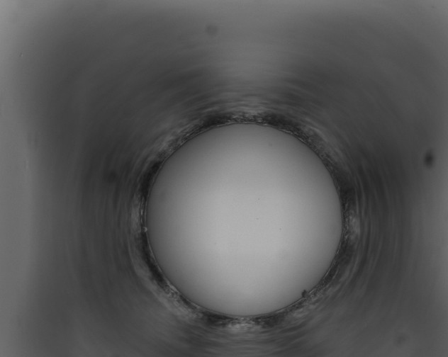 X0000090440468200707131034