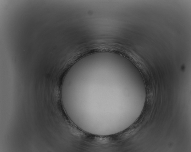 X0000090440469200707131034