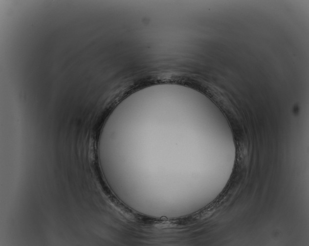 X0000090440470200707131034