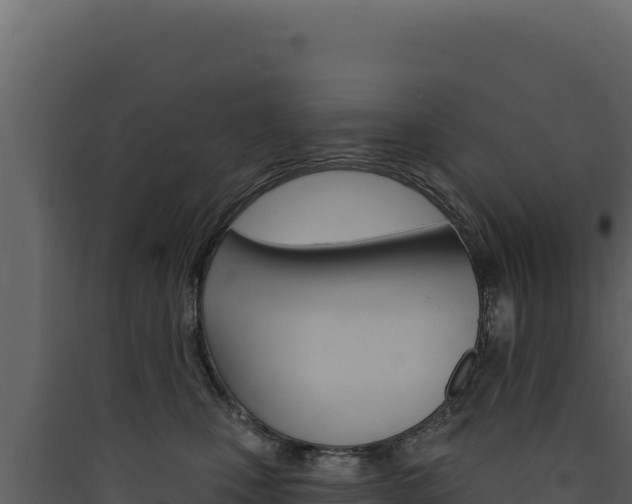 X0000090440471200707131034