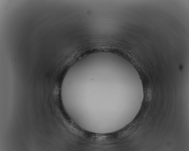 X0000090440472200707131034