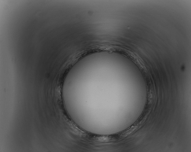 X0000090440473200707131034