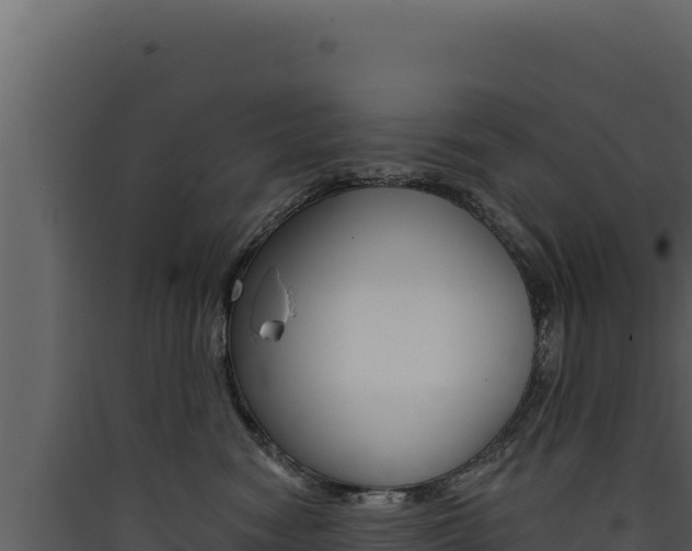 X0000090440474200707131034